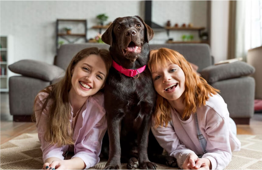 How to Spot, Treat, and Prevent Hot Spots in Pets